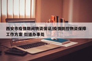 西安市疫情期间物资保证/疫情防控物资保障工作方案 街道办事处
