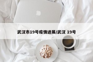 武汉市19号疫情进展/武汉 19号
