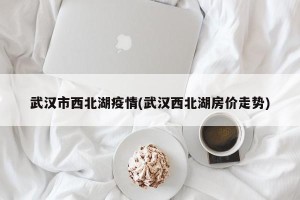 武汉市西北湖疫情(武汉西北湖房价走势)