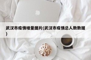 武汉市疫情增量图片(武汉市疫情总人数数据)