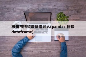 彬州市拘留疫情造谣人(pandas 拼接dataframe)